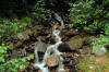 Gently sloping forest waterfall and stream
