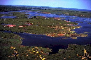 Aerial view showing the 5 major classifications of wetlands