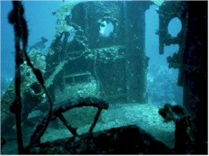 Pros and cons of artificial reefs